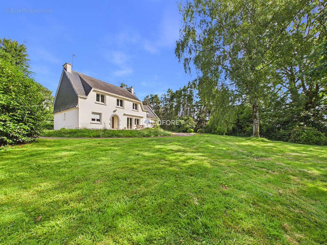 Maison Pleyben 9 pièce(s) 201 m2 - photo 3