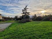 Terrain à CHAMPTOCE-SUR-LOIRE