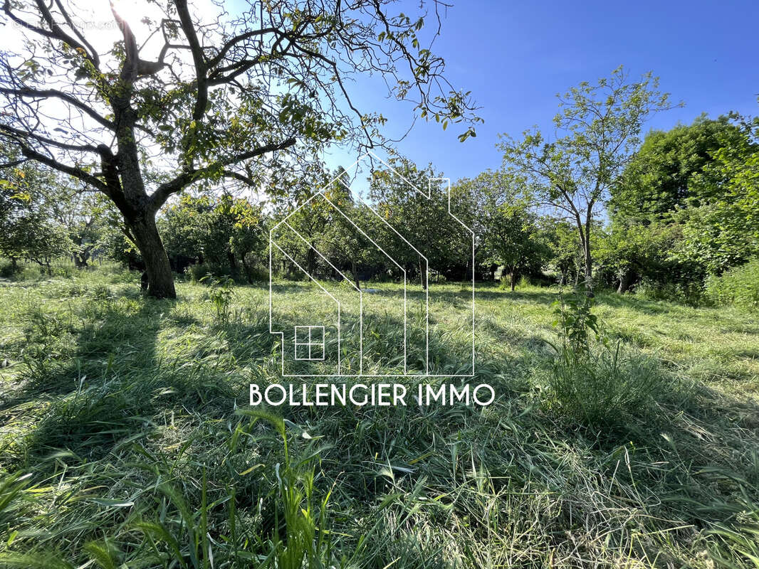 Ancien estaminet flamand 110 m2. - photo 3