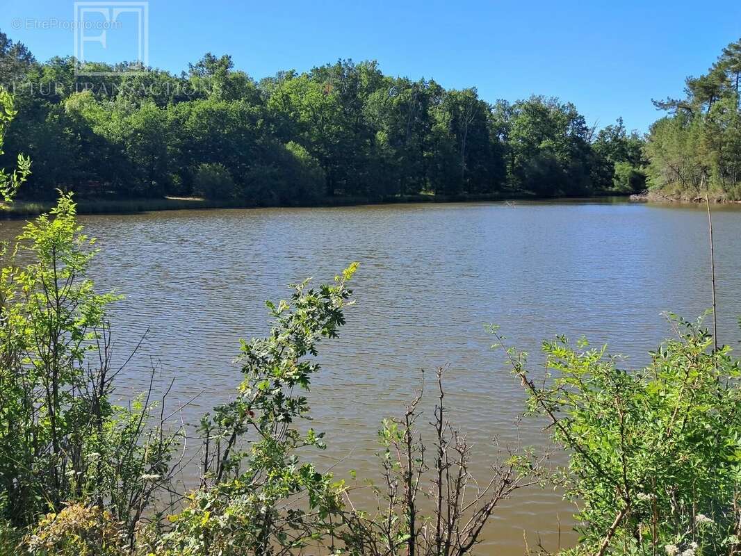 Propriété avec étangs sur 35 ha - photo 14