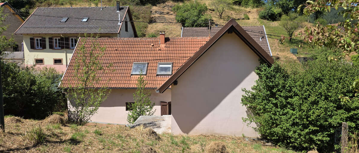 Rothau, grande maison individuelle avec logement indépendant, 12.76 ares. - photo 39