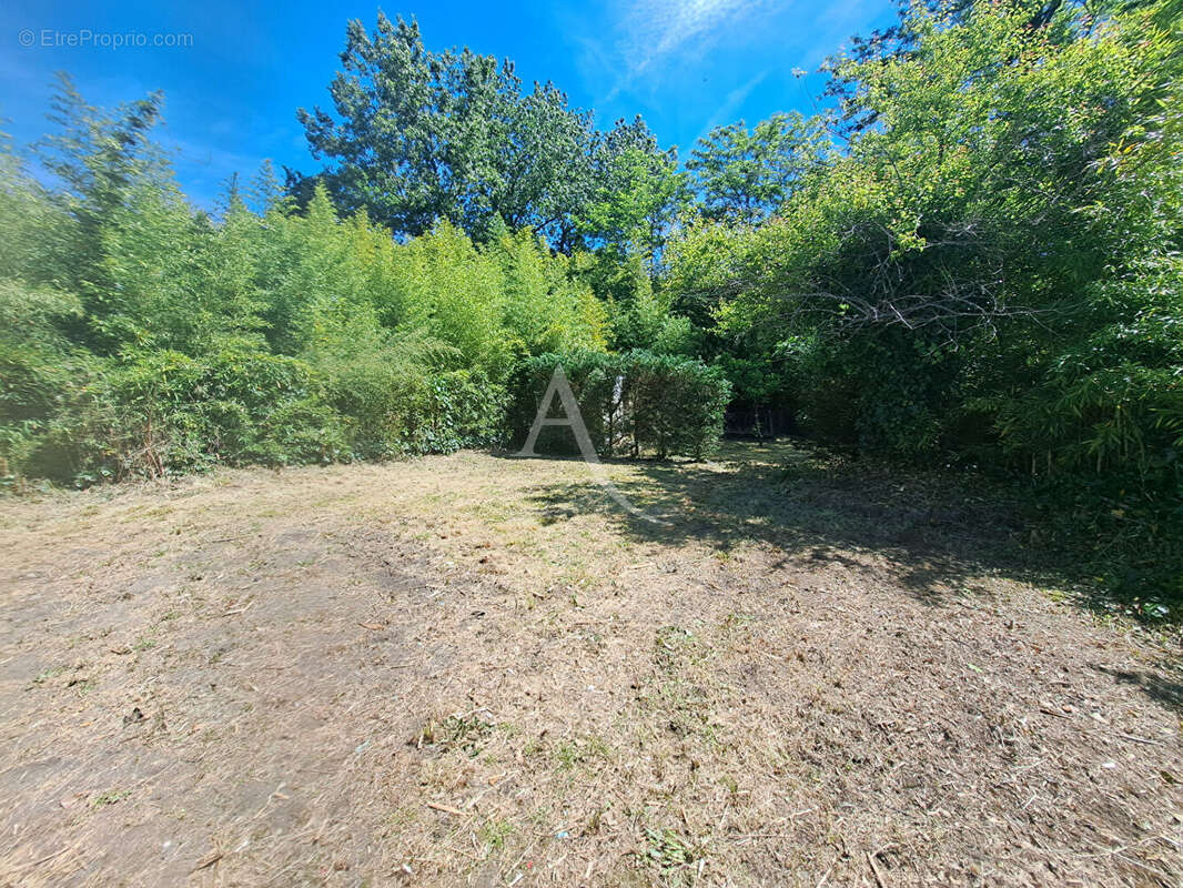 Maison à VILLENEUVE-DE-MARSAN