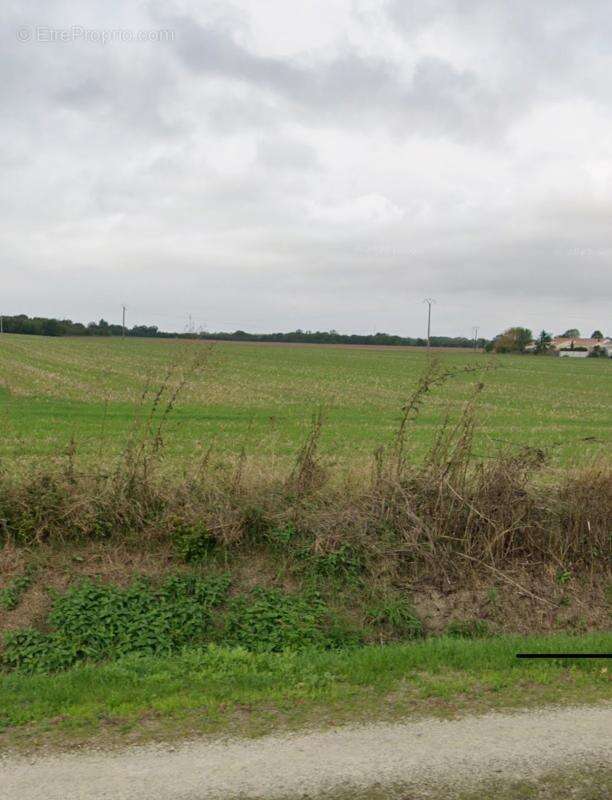 Terrain à SAINT-XANDRE