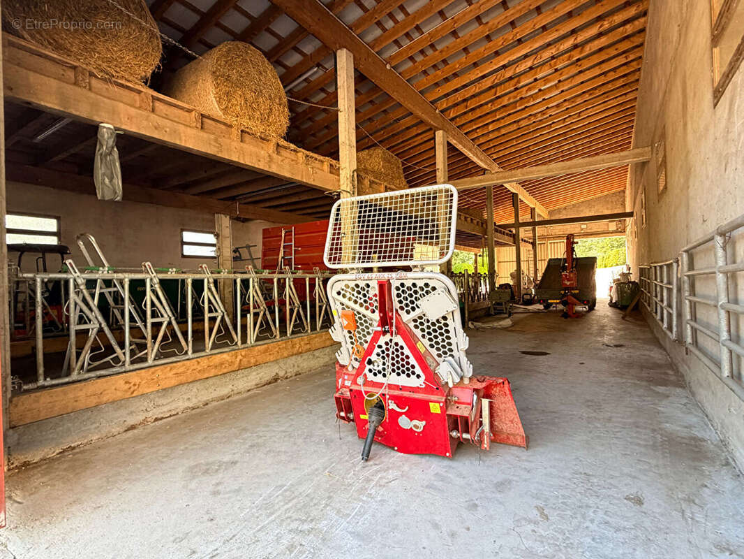 Domaine Saint Germain De Joux  ancienne ferme de 273 m2 sur 21 ha - photo 16