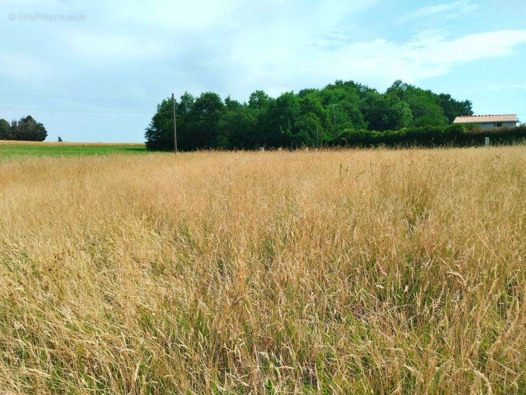 Terrain 2 546 m² à vendre à Merignac (17210) - photo 4