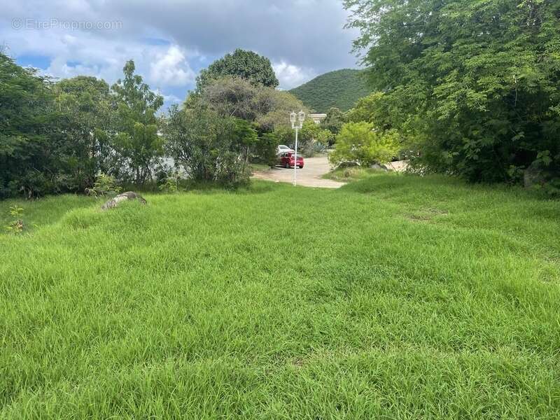 Terrain à SAINT-MARTIN