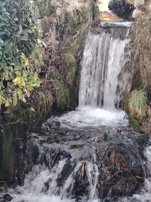 Maison à LACROIX-SUR-MEUSE