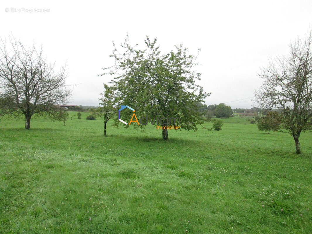 Terrain à LA BRUYERE