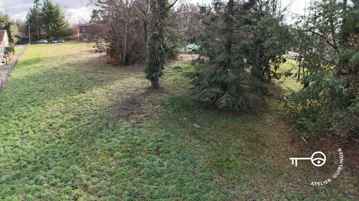Terrain à MONTRIEUX-EN-SOLOGNE