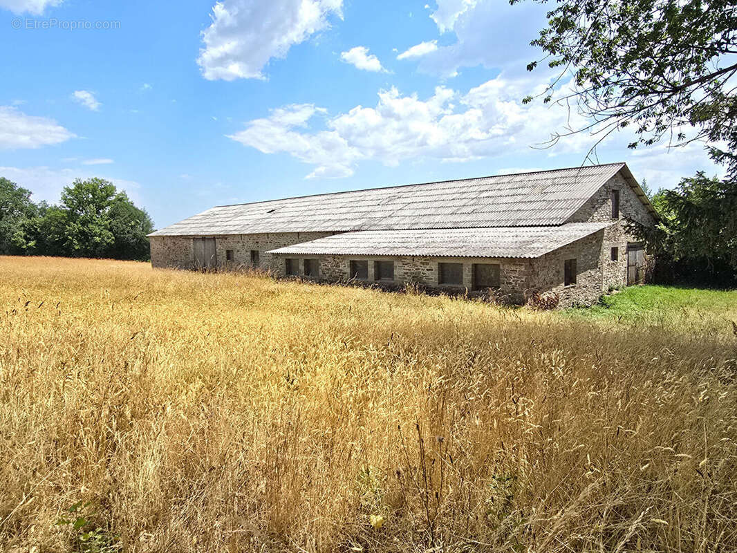 Corps de ferme avec maison, appartement et dépendances - Durenque - photo 6
