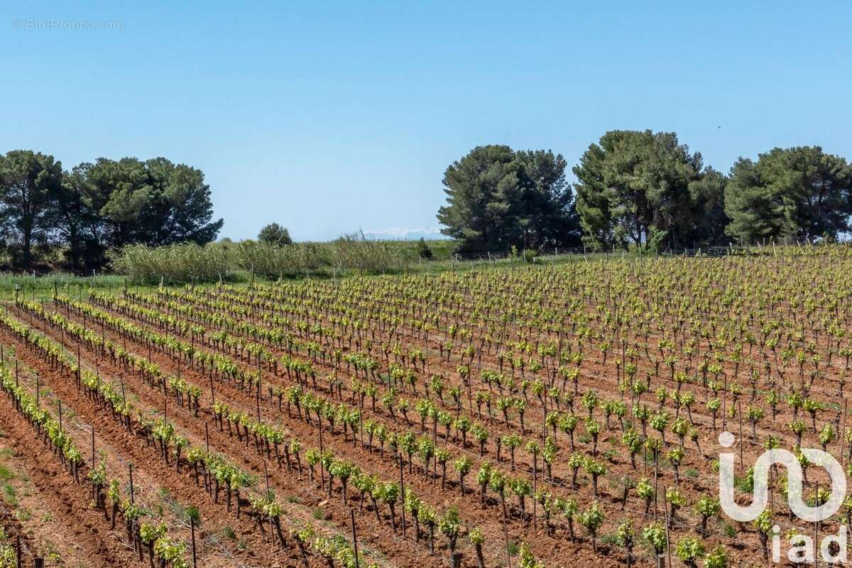 Photo 7 - Maison à PINET