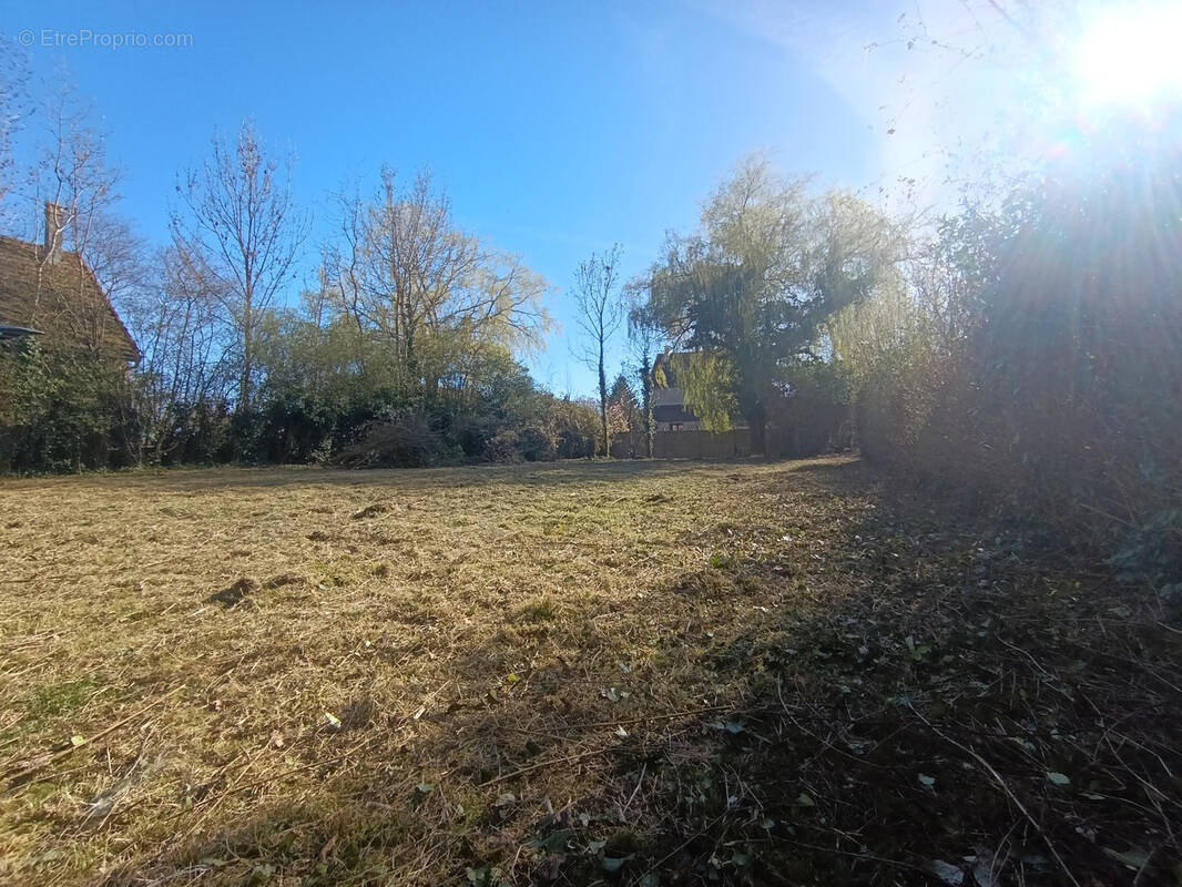 Terrain à JANVRY