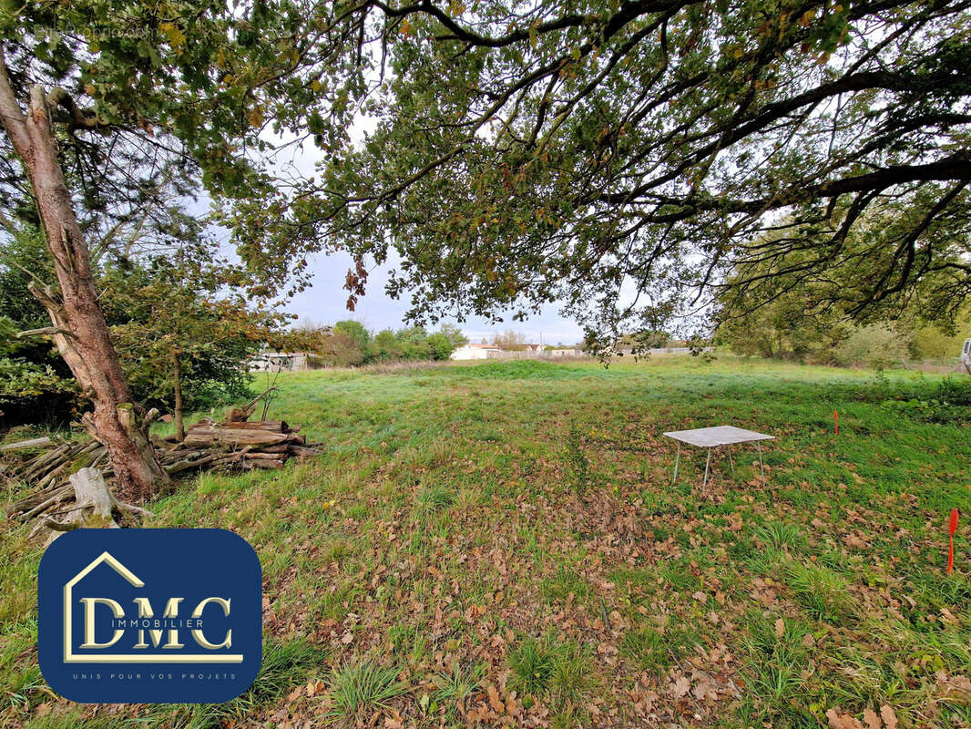 Terrain à CINTEGABELLE