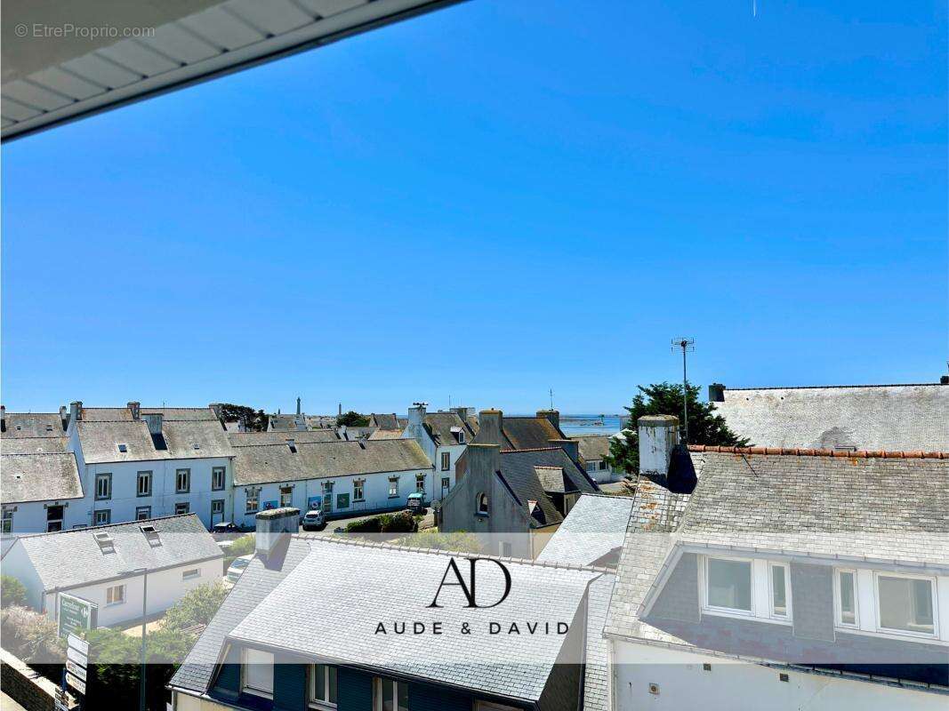 Appartement - photo 4