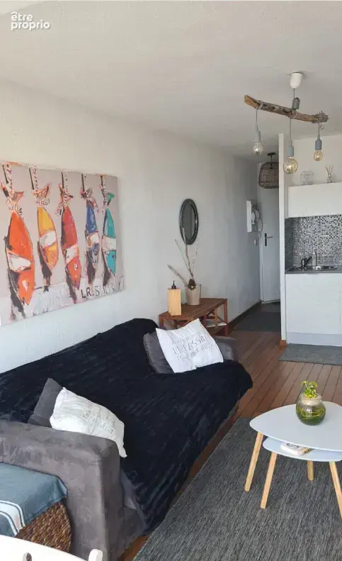 Arcachon appartement t2 vue bassin - photo 2