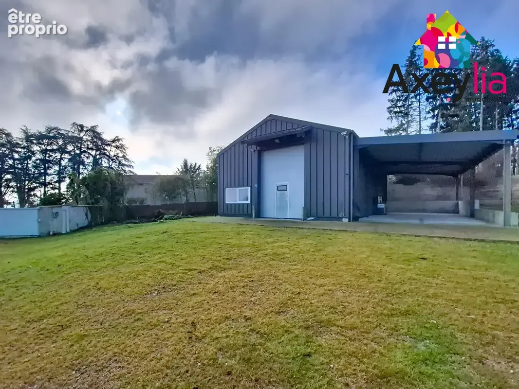 À vendre - briennon - local professionnel avec bureaux et entrepôt - photo 2