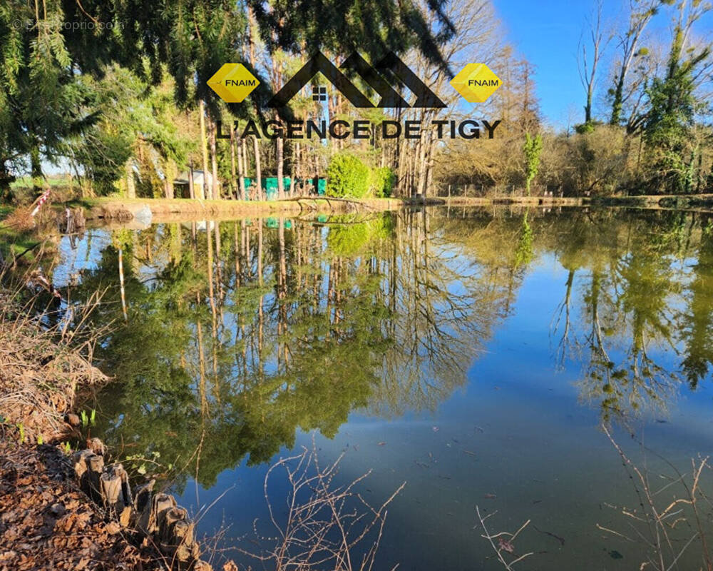 Terrain à TIGY