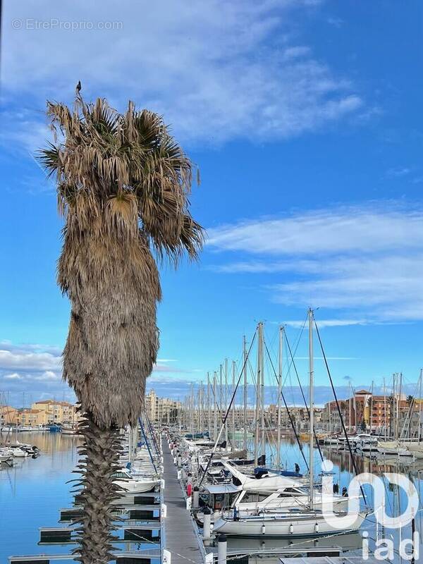 Photo 1 - Appartement à LEUCATE