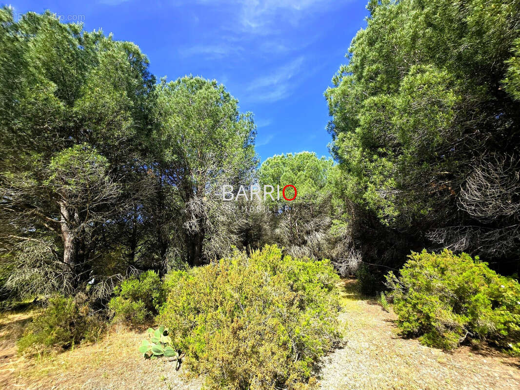 Terrain à ARGELES-SUR-MER