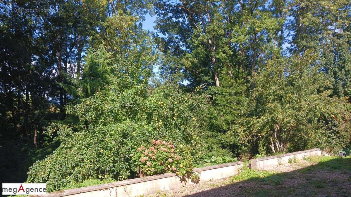 Maison à BELHOMERT-GUEHOUVILLE