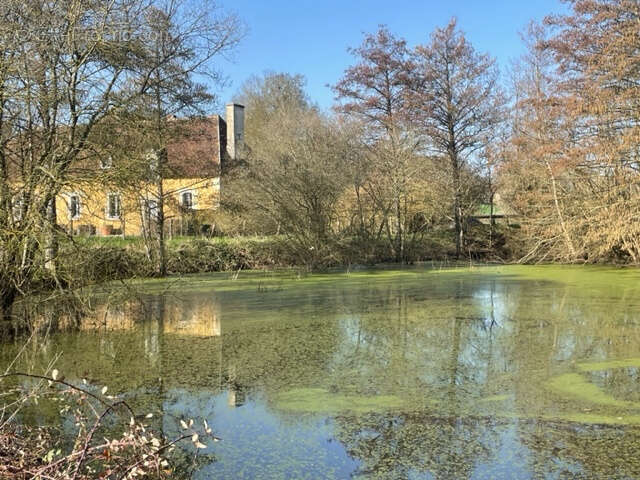 Maison à CONDE-SUR-HUISNE