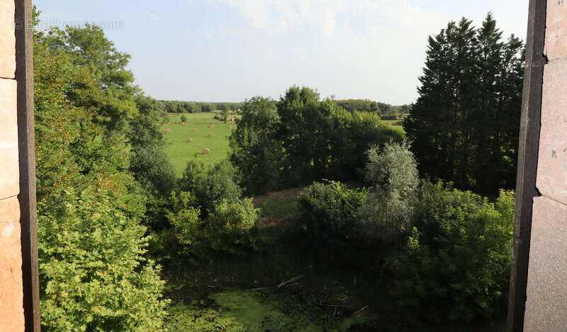Moulin au cœur de la Bresse avec accès privé à la rivière - 585 m² sur 8553 m² de terrain - photo 9
