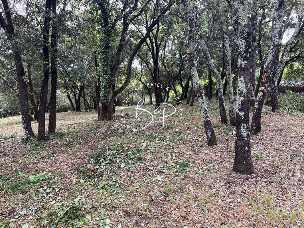 Terrain à LE THORONET