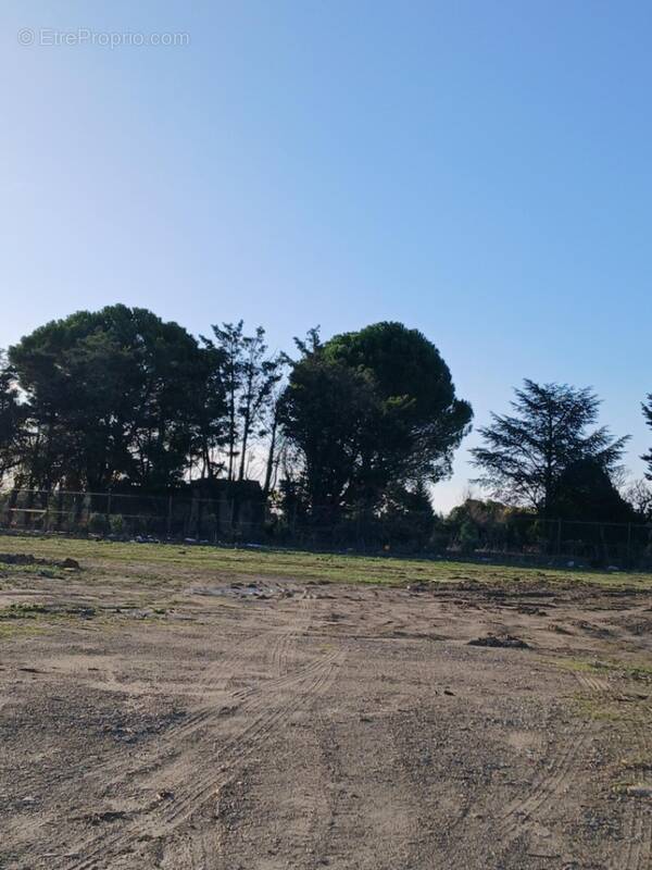 Terrain à CAVEIRAC