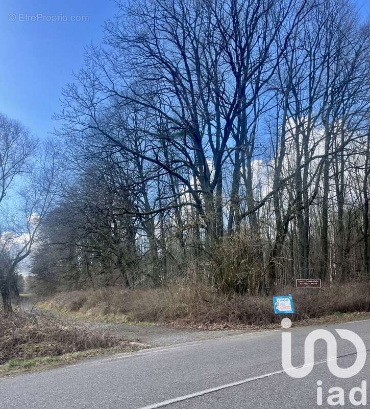 Photo 4 - Terrain à CARLING