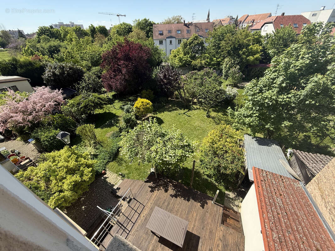 Commerce à STRASBOURG