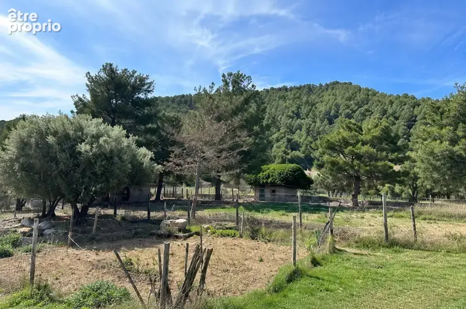 Terrain 1504 m² à Cuges-Les-Pins  - photo 2