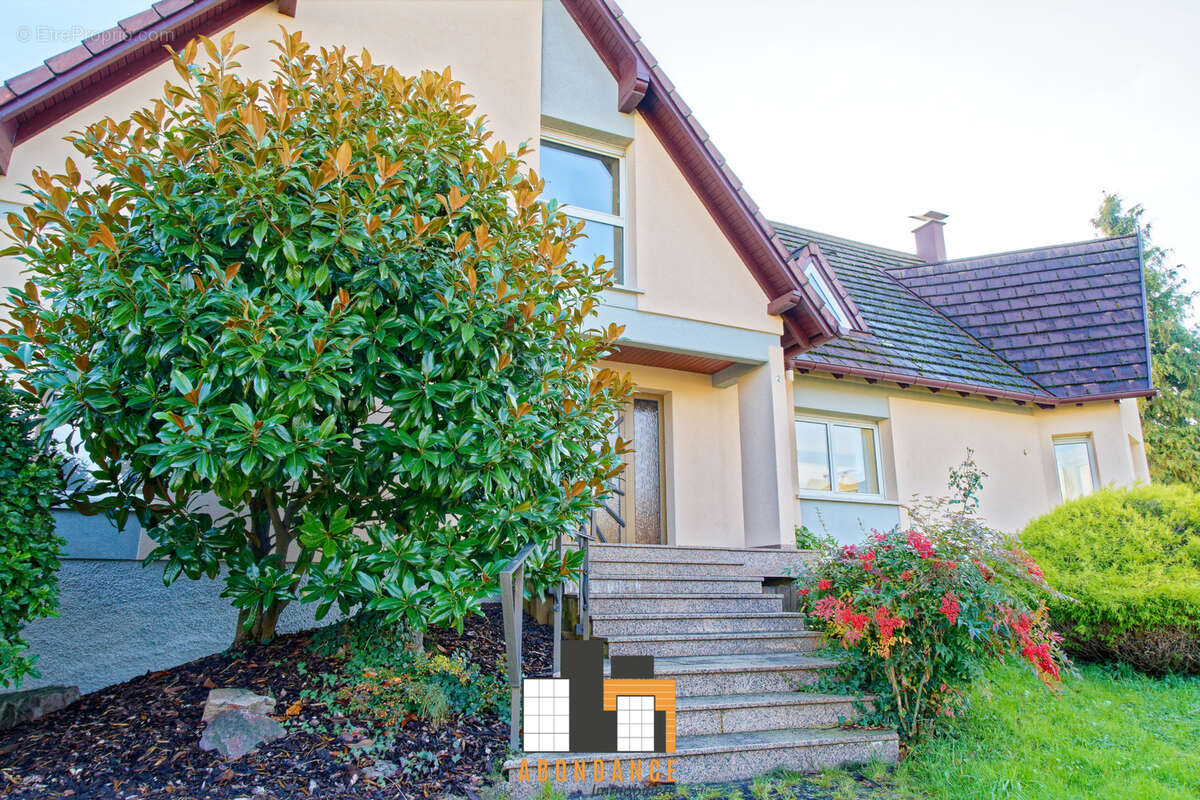 Maison à LA WANTZENAU