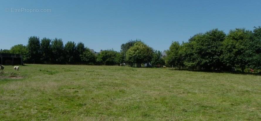 Terrain à MOYAUX