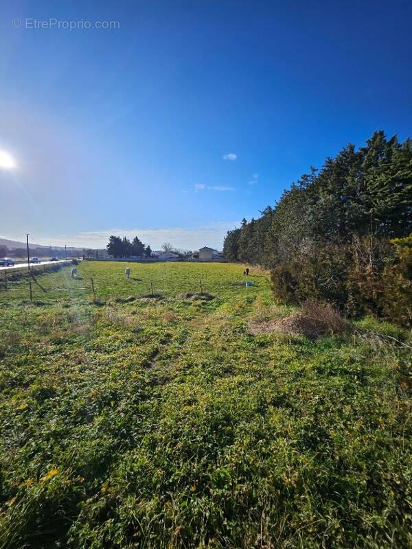 Terrain à MALLEMORT