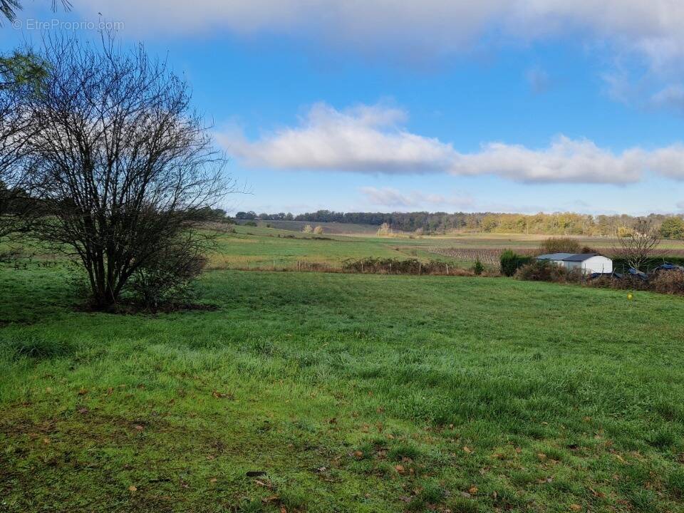 Terrain à SAINT-LOUBES