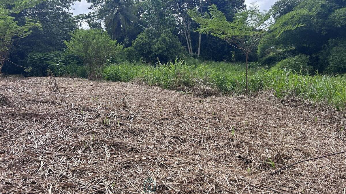 Terrain à LE LAMENTIN