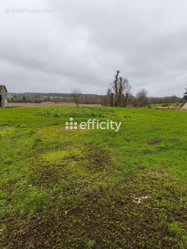Terrain à LE CROUAIS