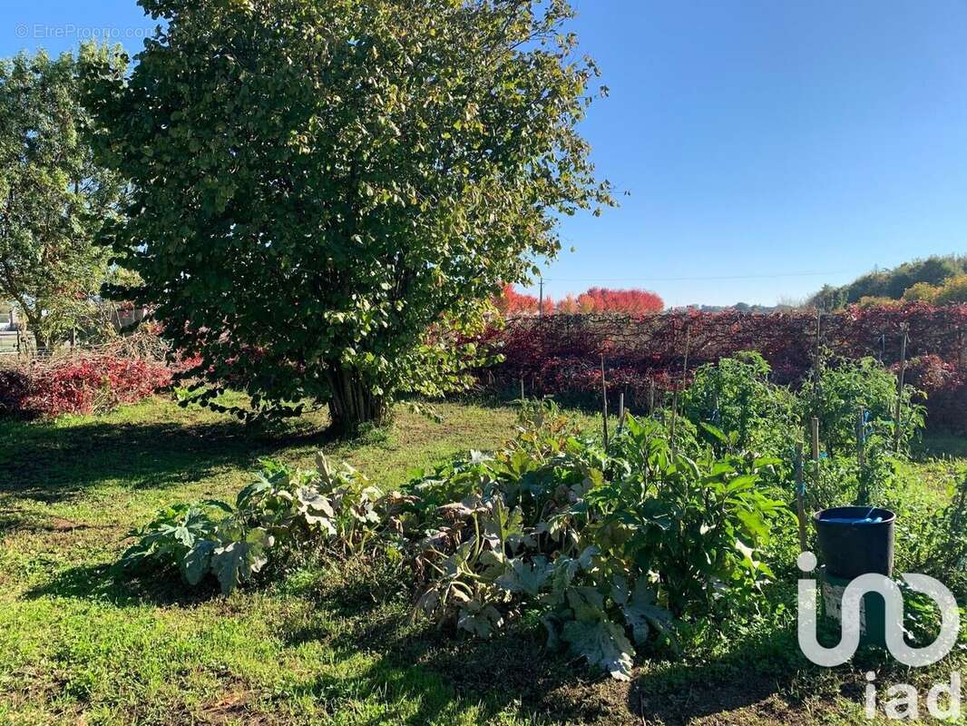 Photo 8 - Maison à LA RONDE