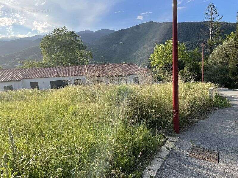 Terrain à ARLES-SUR-TECH