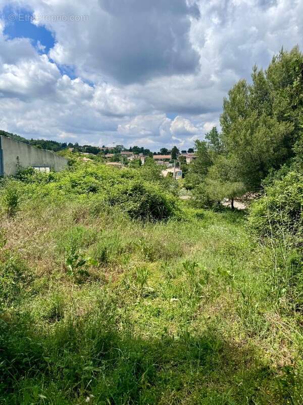 Terrain à SAINT-SAVOURNIN