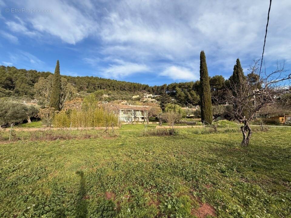 Terrain à SOLLIES-PONT