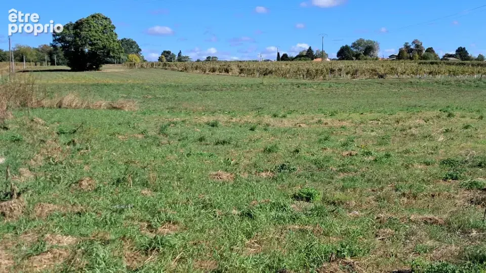 Terrain à MONTENDRE