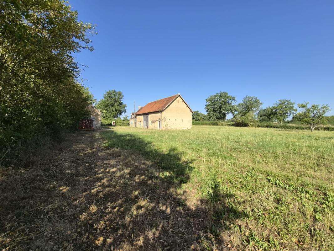 Maison 45 m² à Lys-Saint-Georges  - photo 5