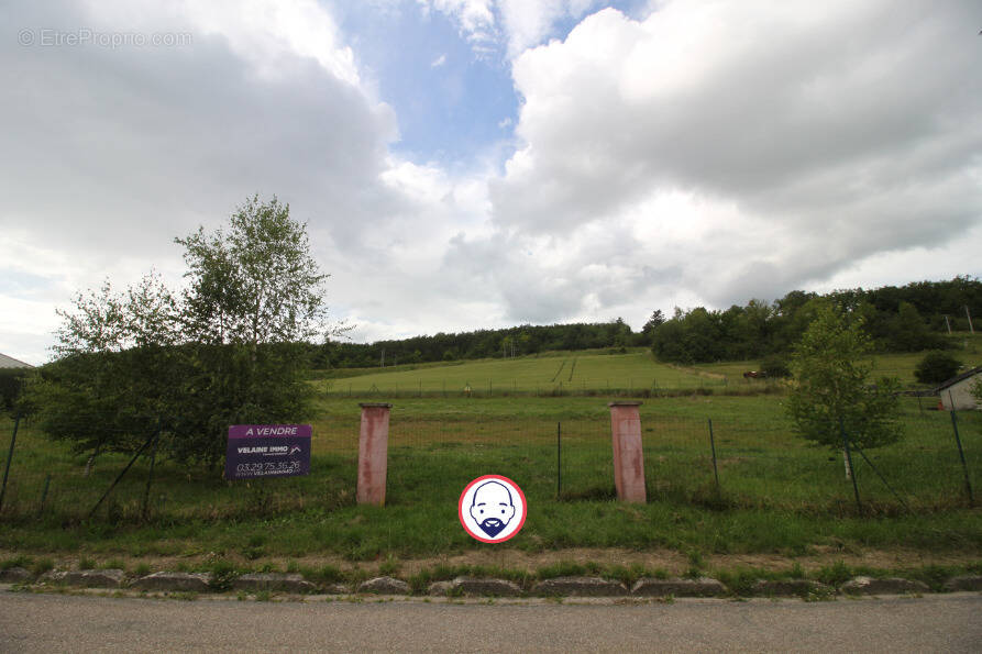Terrain à LIGNY-EN-BARROIS