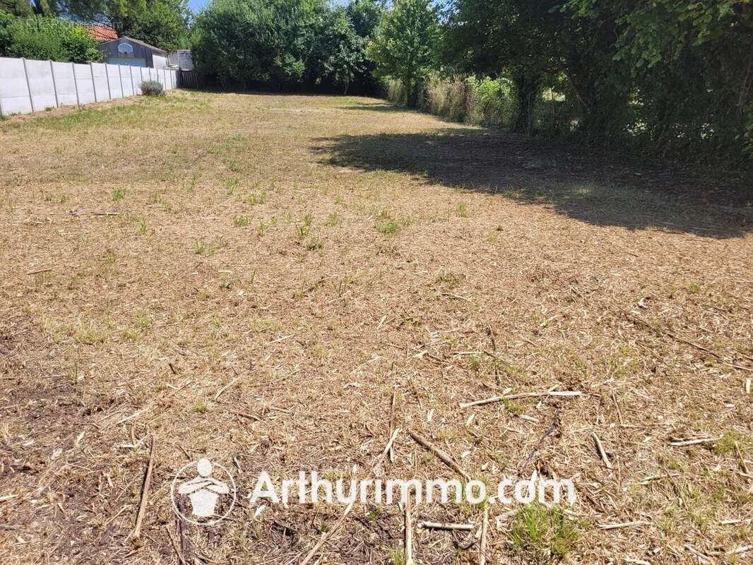 Terrain à SAINT-JEAN-D'ANGELY