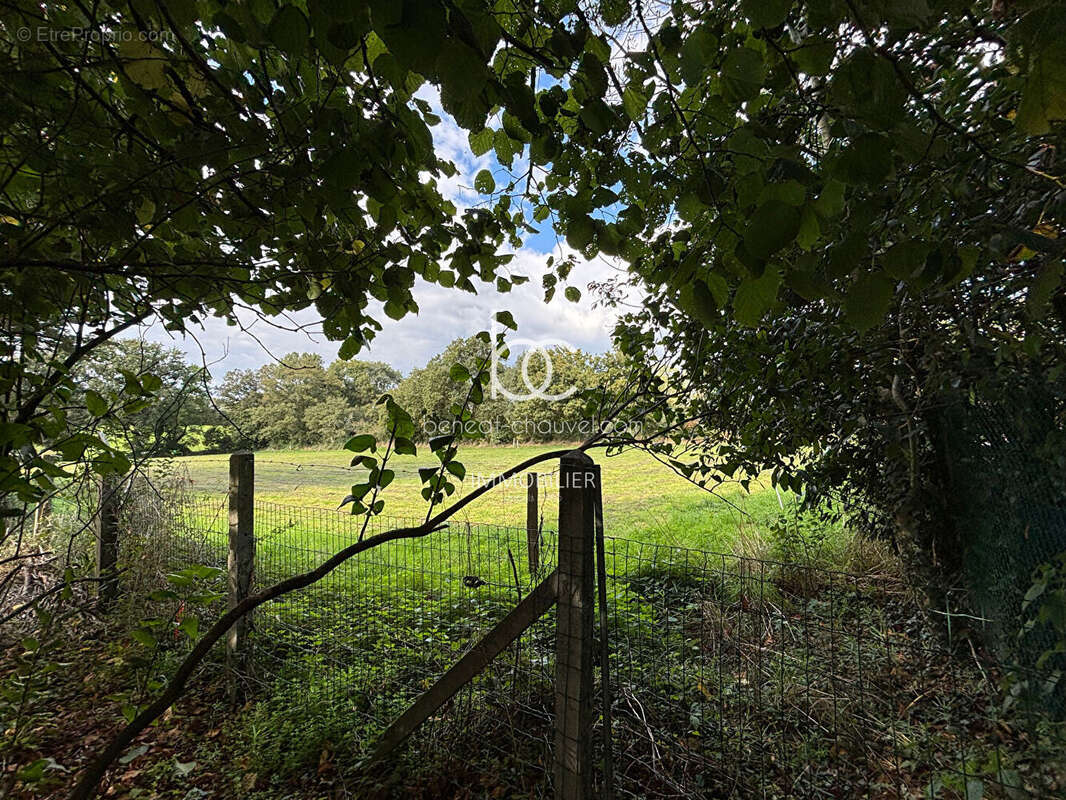 Terrain à BERRIC