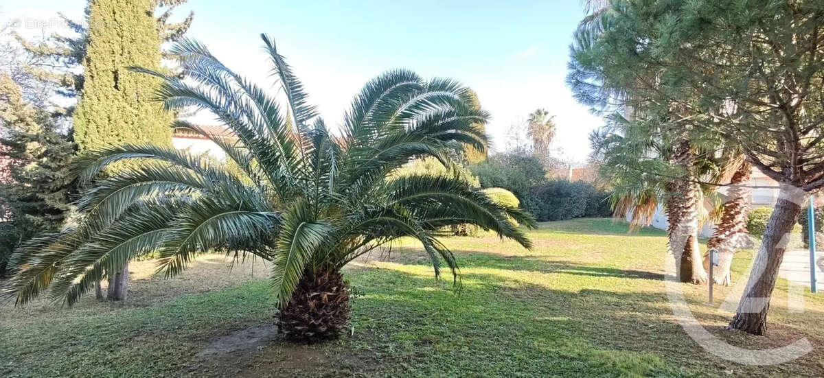 Appartement à ARGELES-SUR-MER