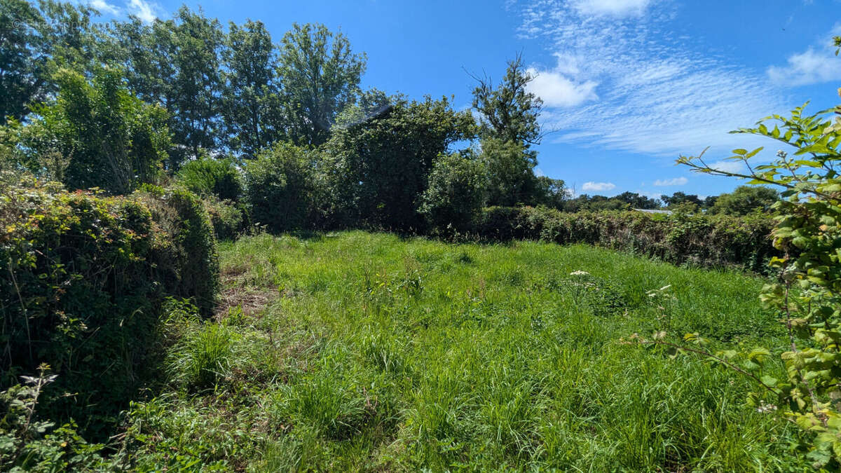Jolie maison de campagne à rénover à AMFREVILLE - 68,5 m² - photo 10