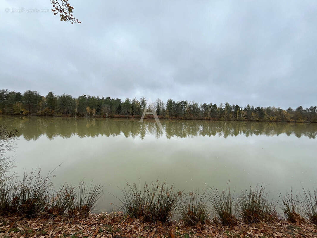 Territoire de chasse avec étang en Sologne - photo 3