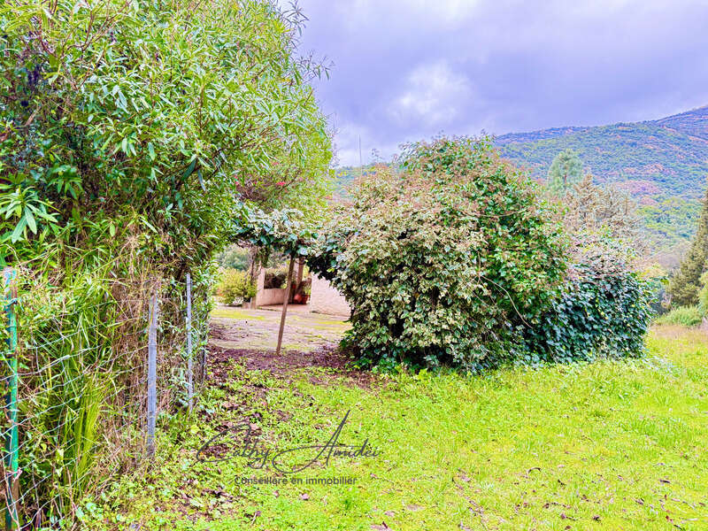 SAGONE (Corse) : Propriete à vendre, maison T4 + dépendance avec 2 appartements T1, sur terrain plat de 5000m2 - photo 6